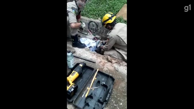 VDEO: Bombeiros resgatam gato preso em tubulao de condomnio em Goinia