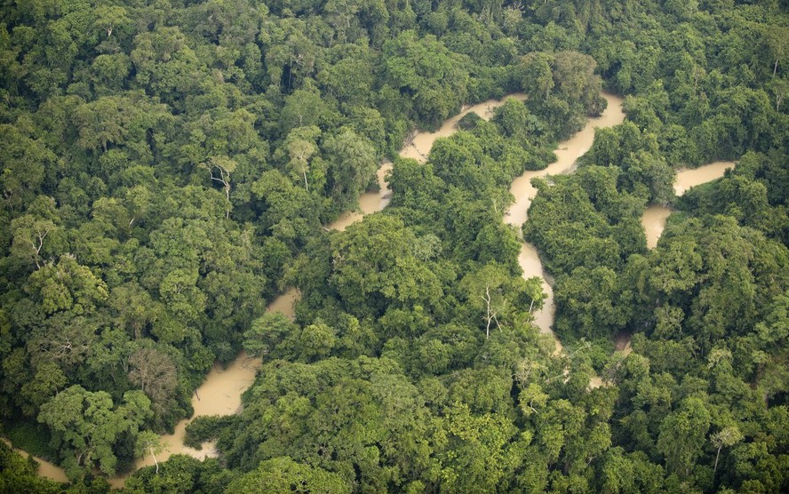 Trecho da Floresta Nacional do Jamanxim