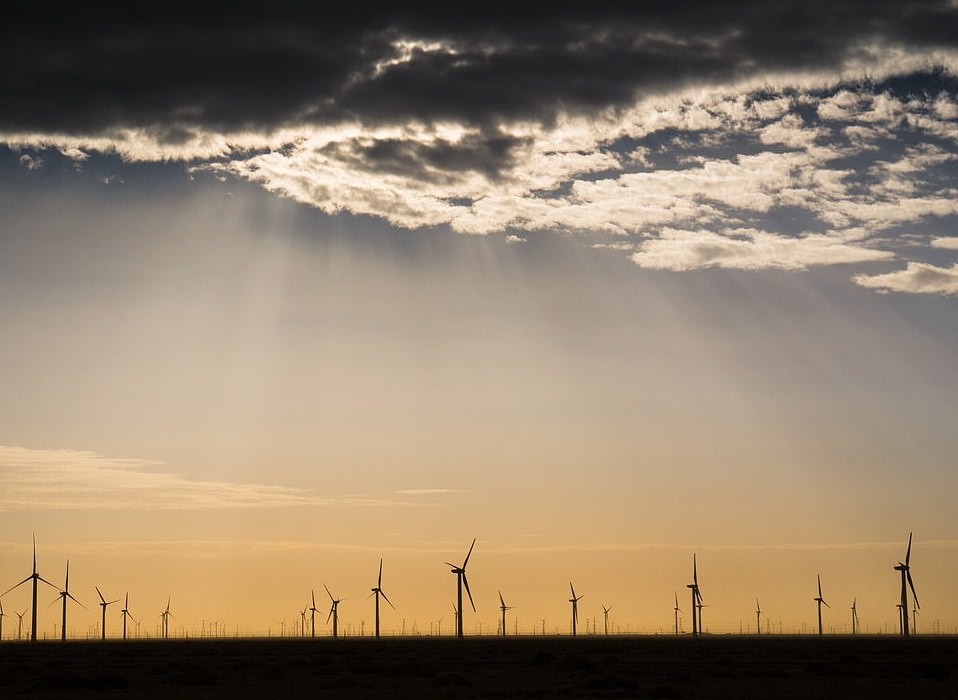 A imagem mostra um parque eólico no deserto de Gobi, sua função é transformar energia eólica em energia elétrica  (Foto: BMC Ecology/Kang Xu)