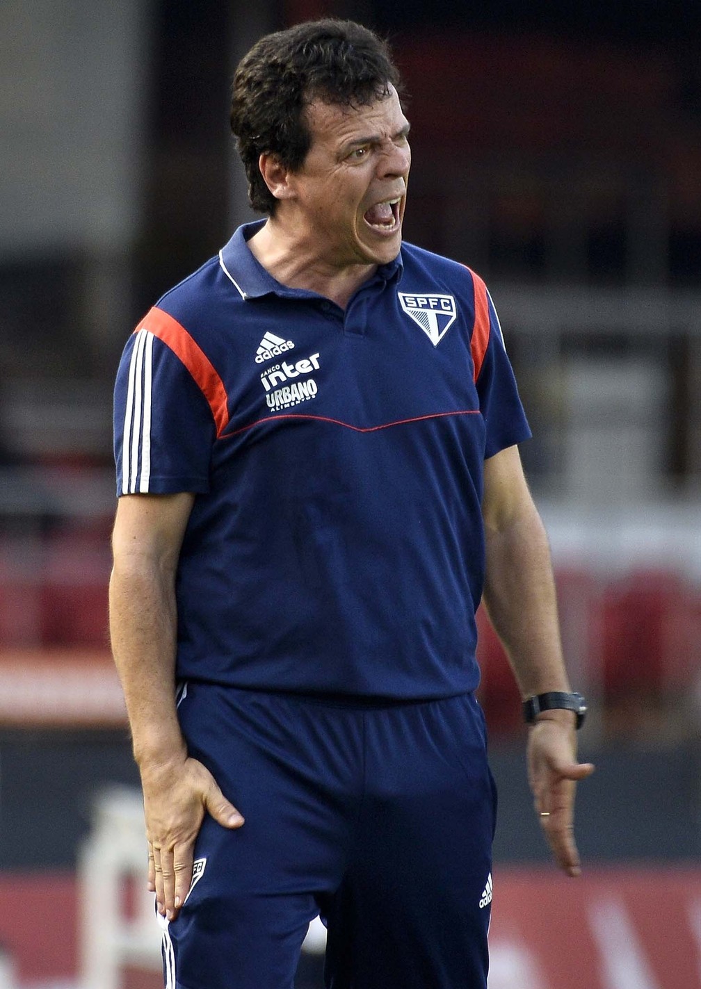 Fernando Diniz no comando do São Paulo contra o Atlético-MG, no Morumbi — Foto: Marcos Ribolli