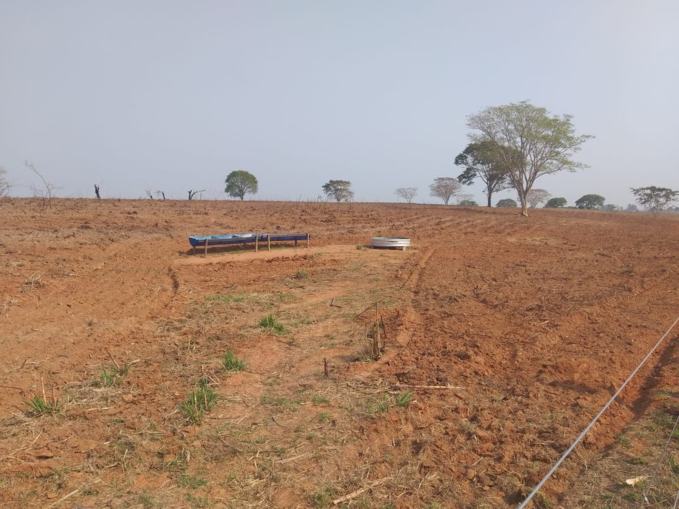 Sitiante recebeu multa por atear fogo em área de vegetação em Álvares Machado — Foto: Polícia Militar Ambiental