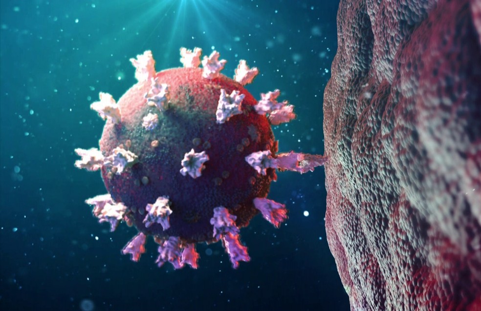 Mutação do coronavírus — Foto: TV Globo/Reprodução