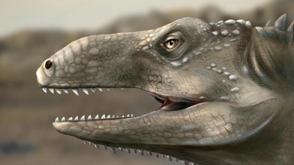 Binatang Reptil Menggemaskan Yang Dapat Dijadikan Peliharaan I