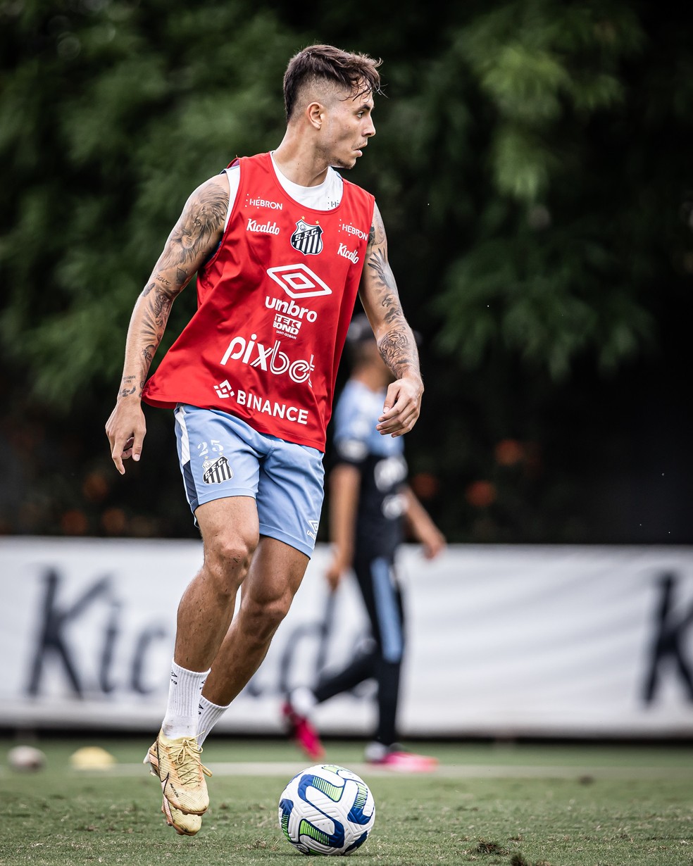 Zanocelo deve ser transferido ainda antes do início do Campeonato Brasileiro  — Foto: Raul Baretta/ Santos FC.