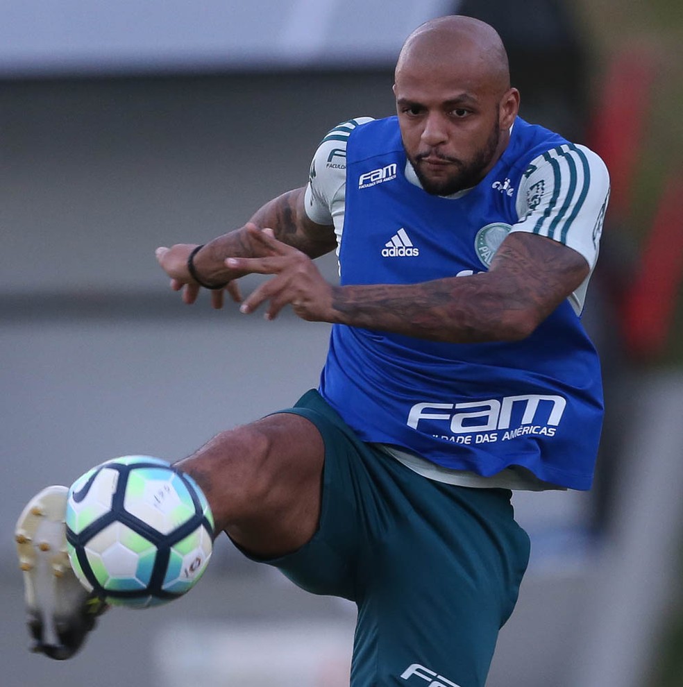 Felipe Melo em treino do Palmeiras (Foto: Ag. Palmeiras/Divulgação)