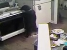 Cão provoca princípio de incêndio em fogão ao 'roubar' pizza nos EUA