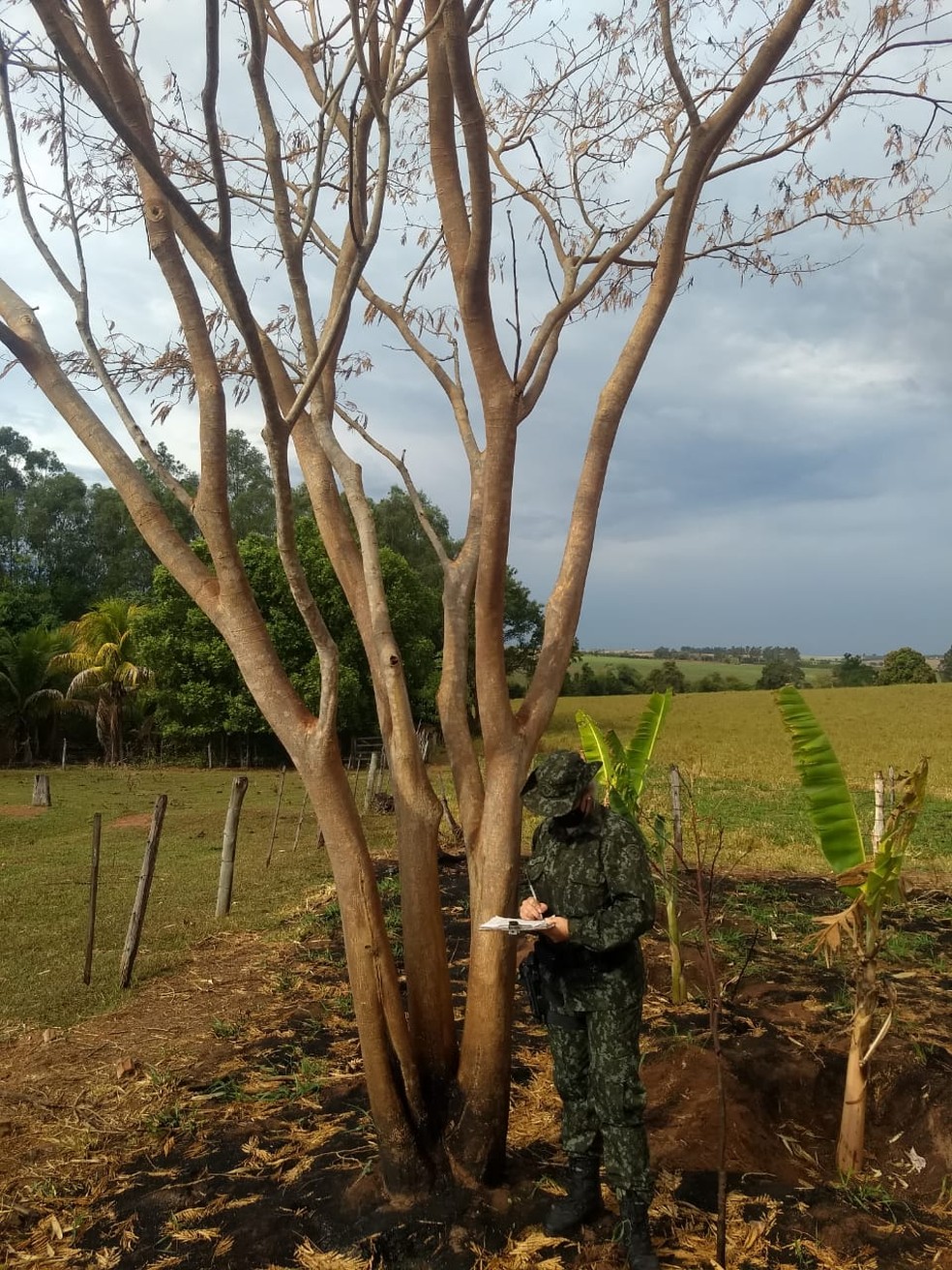 Homem de 52 anos foi multado em R$ 3,6 mil por uso de fogo sem autorização — Foto: Polícia Ambiental