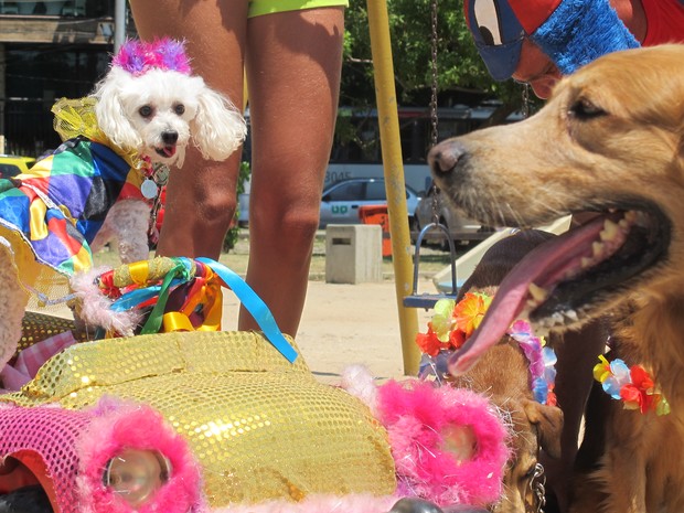 Animais de hoje e de ontem desfilam neste ″Carnaval″