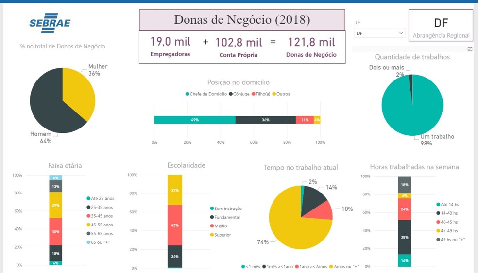 Perfil das donas de negócios no DF em 2018, segundo pesquisa do Sebrae — Foto: Sebrae/DF