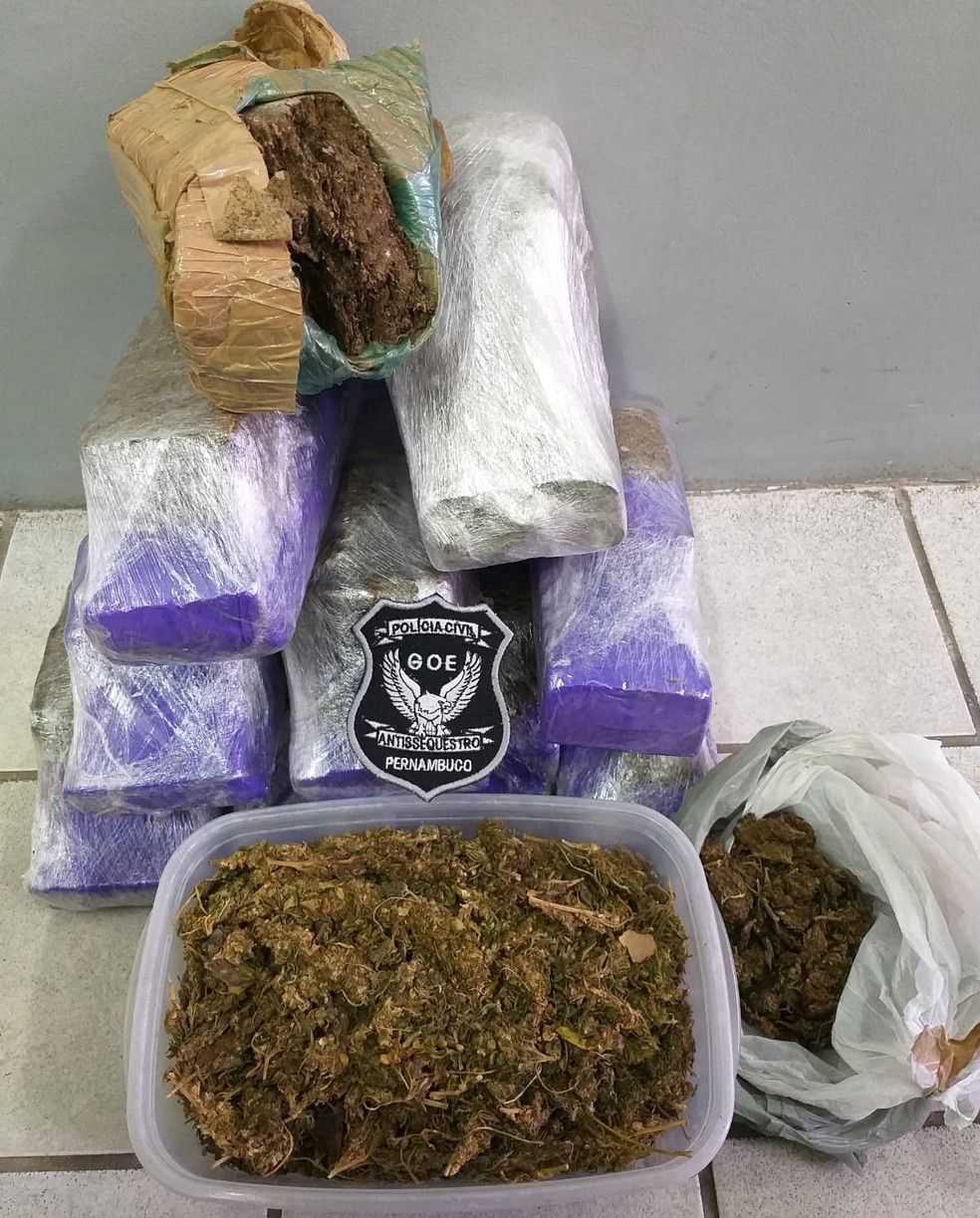 Quase nove quilos de maconha foram apreendidos durante a Operação Áquila, deflagrada nesta quinta-feira (14) — Foto: Polícia Civil/Divulgação