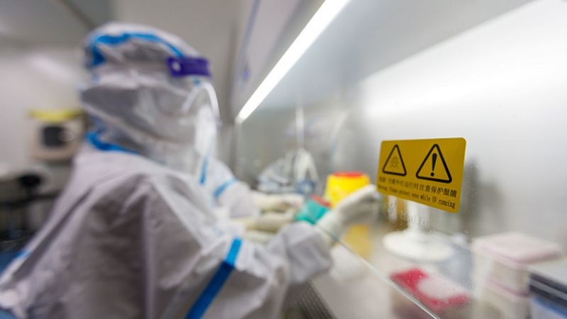 A descrição e o estudo de novos vírus permite entender melhor as futuras ameaças — e eventualmente até desenvolver vacinas e tratamentos contra elas (Foto: Getty Images via BBC News Brasil)