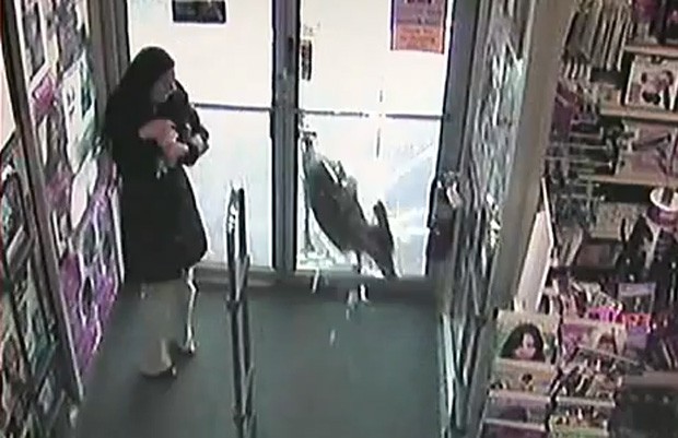 Mulher se assusta ao ver animal quebrar porta de vidro de loja (Foto: Reprodução)