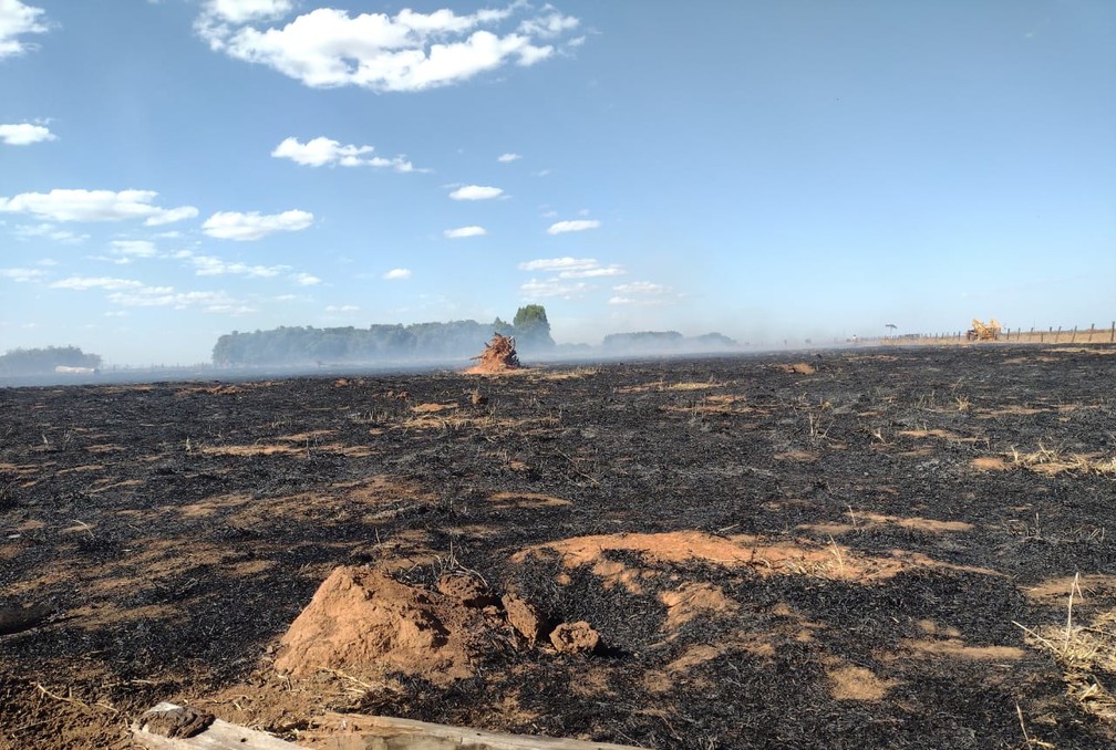 Incêndio destruiu cerca de mil hectares no norte do estado — Foto: Alexandre Perassoli/CAFM