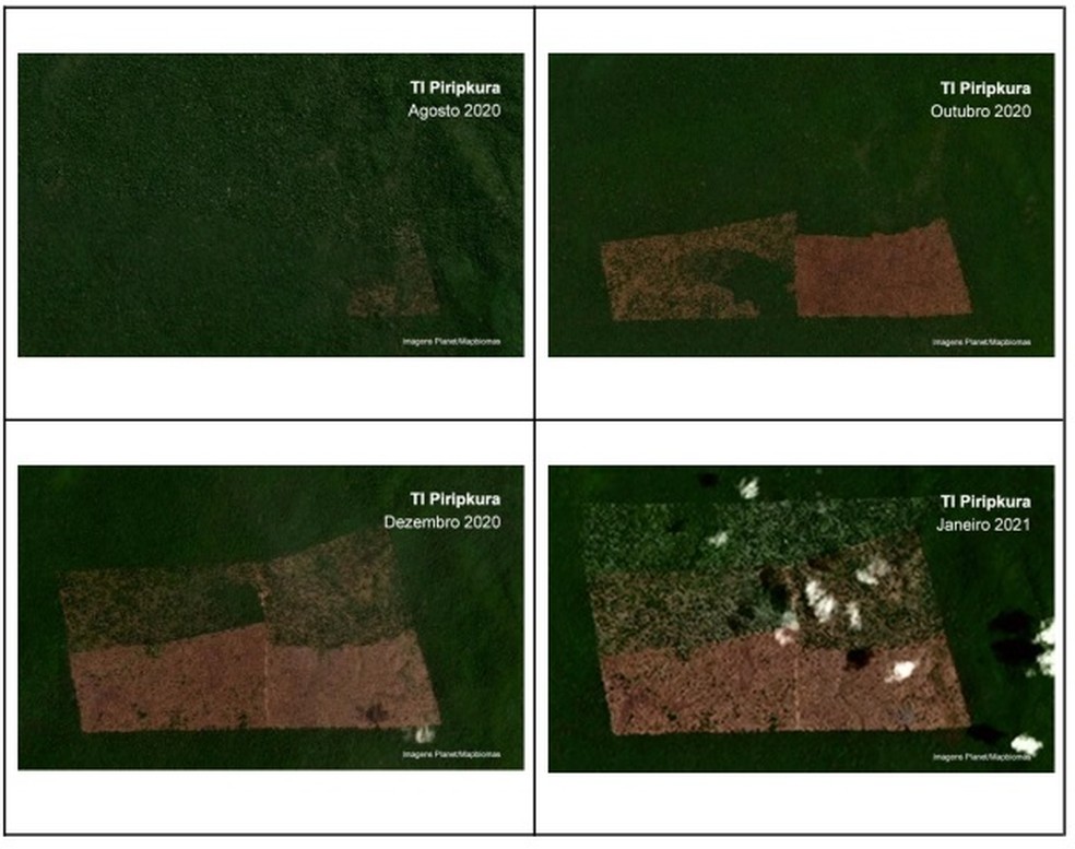 Acompanhamento por imagens de satélite mostram avanço do desmatamento na TI Piripkura — Foto: Reprodução