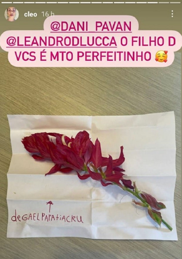 Cleo ganha flores de Gael, filho de Leandro D´Lucca (Foto: Reprodução/Instagram)