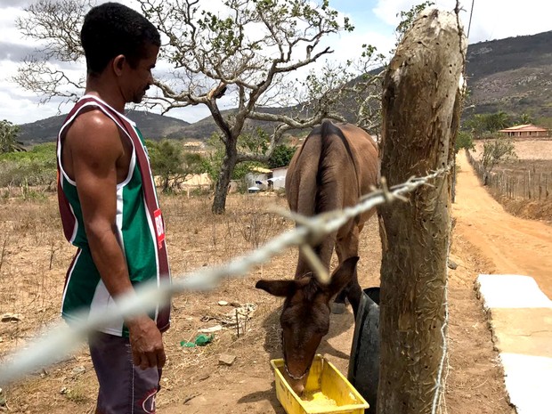 Ademário dá farelo de milho e água em um tonel a seu cavalo &quot;Chocolate&quot; (Foto: Alan Tiago Alves/G1)