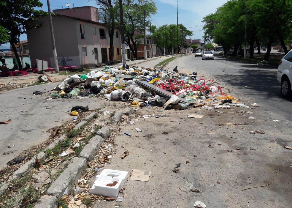 Lixos acumulados estão sendo espalhados no bairro da Levada, em Maceió — Foto: Thamires Ribeiro/G1