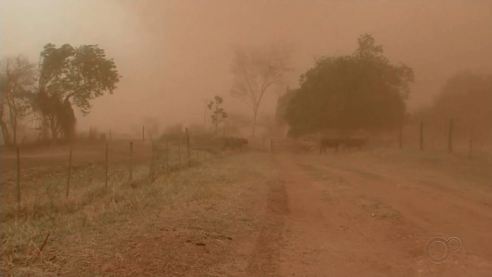 Queimada ficou descontrolada com chegada de tempestade de areia em Santo Antônio do Aracanguá (SP) — Foto: Reprodução/Tv Tem