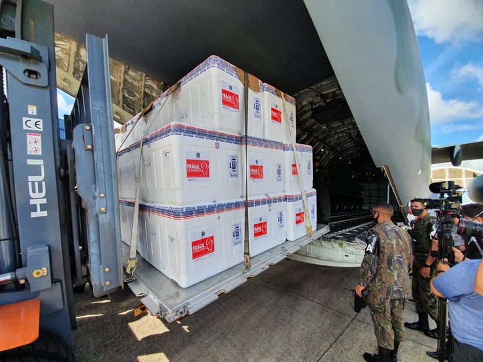 Distribuição das vacinas é feita com aviões da Força Aérea e caminhões com áreas de carga refrigeradas — Foto: Giovani Pagotto/Governo do ES