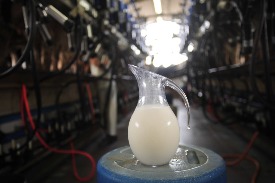 O leite foi um dos produtos que tiveram maior queda, de acordo com o IBGE