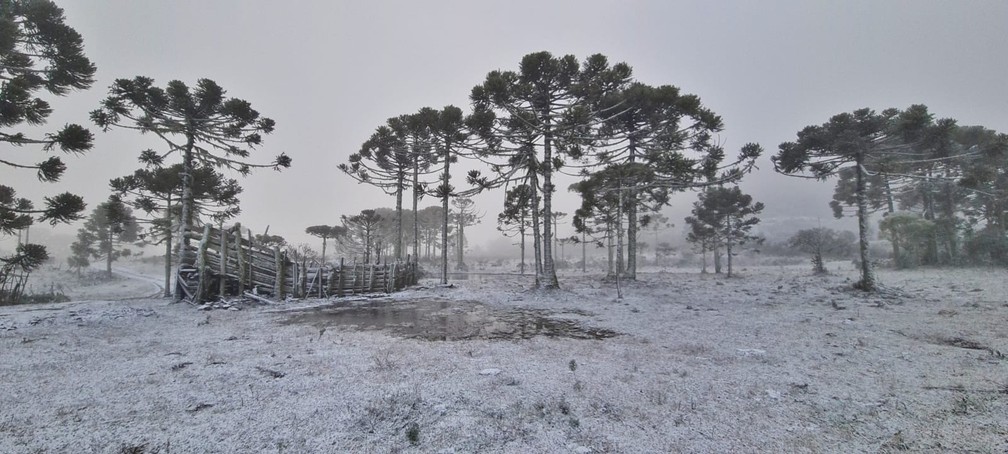 Quarta-feira amanheceu gelada e com neve em São Joaquim — Foto: Mycchel Legnaghi/ São Joaquim Online