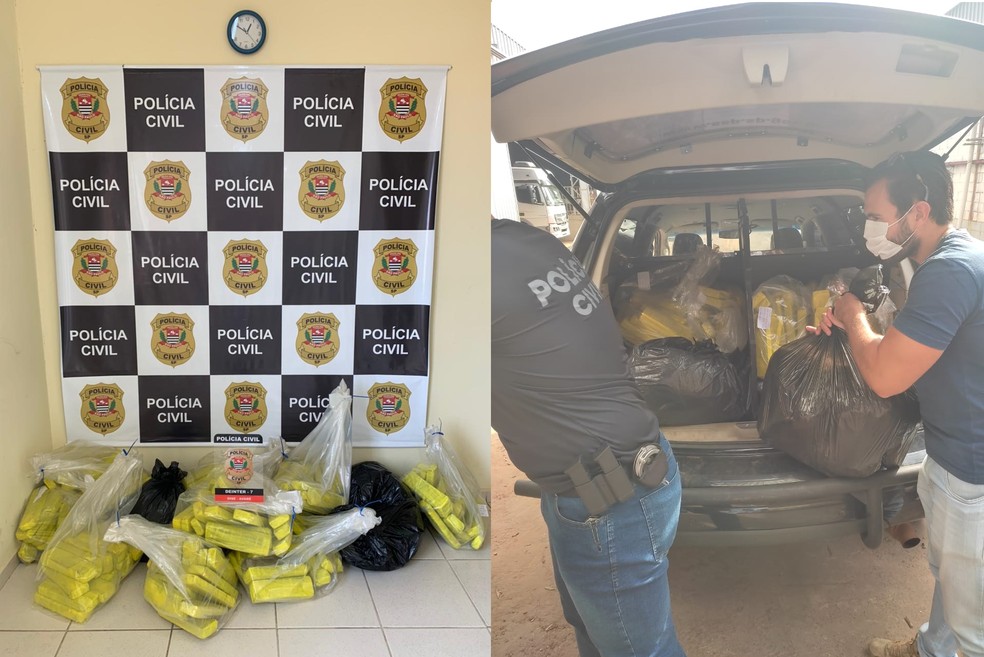 Polícia incinera mais de 100 quilos de droga em Avaré — Foto: Polícia Civil/Divulgação