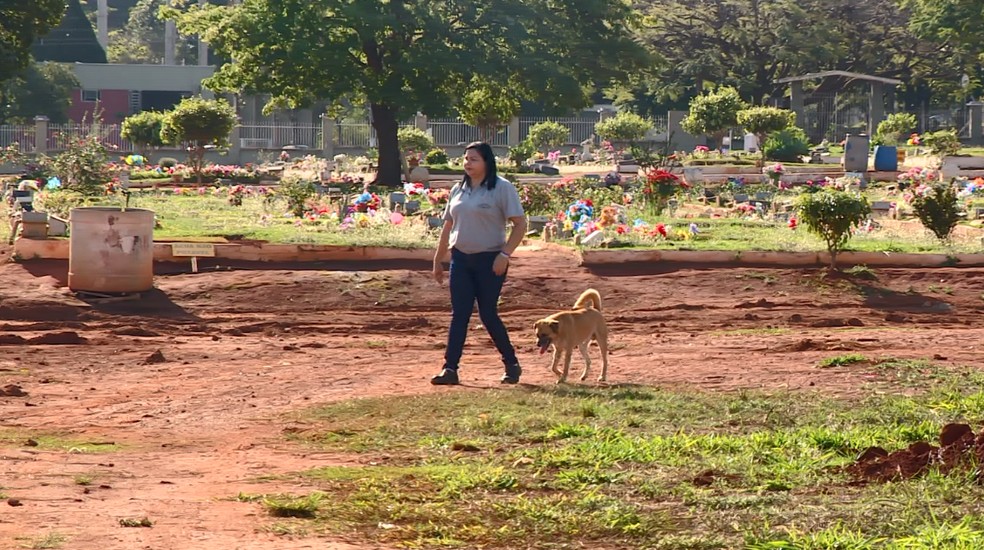 Zé Rico acompanha rotina de funcionários do cemitério de Mogi Guaçu (SP) (Foto: Toni Mendes/Reprodução EPTV)