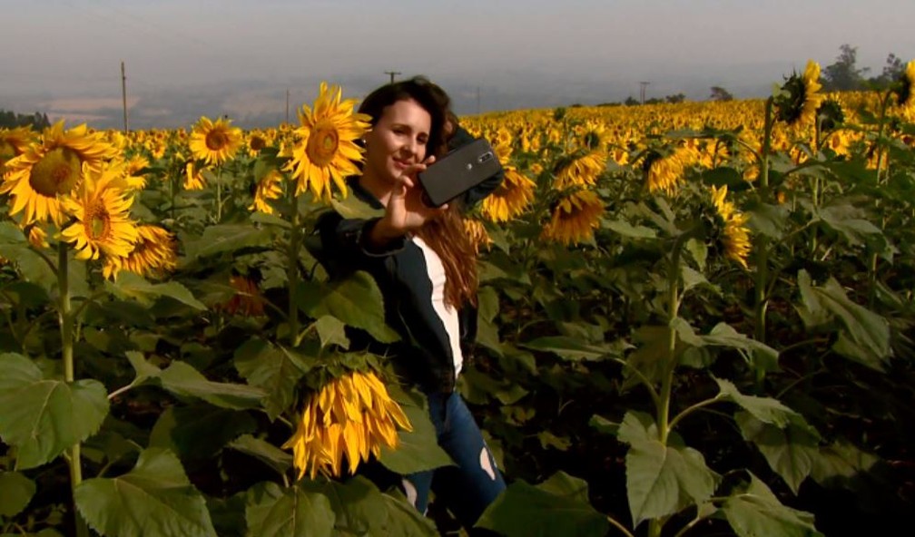 A gerente de pizzaria Patrícia Juliana dos Santos fez várias selfies no meio dos girassóis (Foto: Rodrigo Sargaço/EPTV)