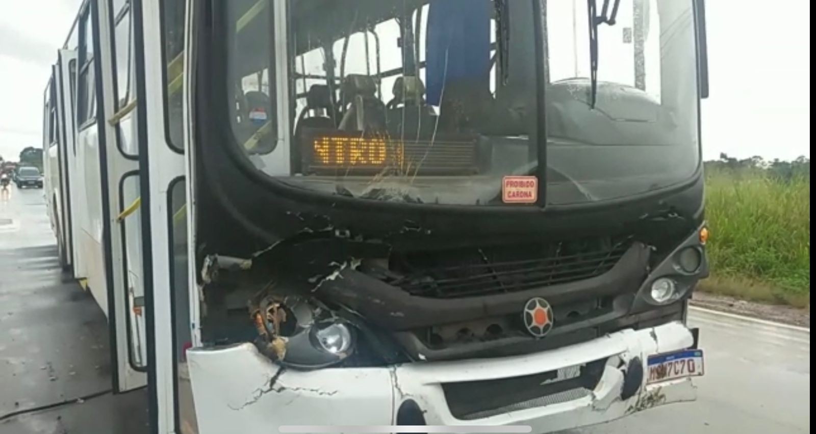 Ônibus colide com boiada na Rodovia Santarém-Curuá-Una; ao menos dois animais morreram
