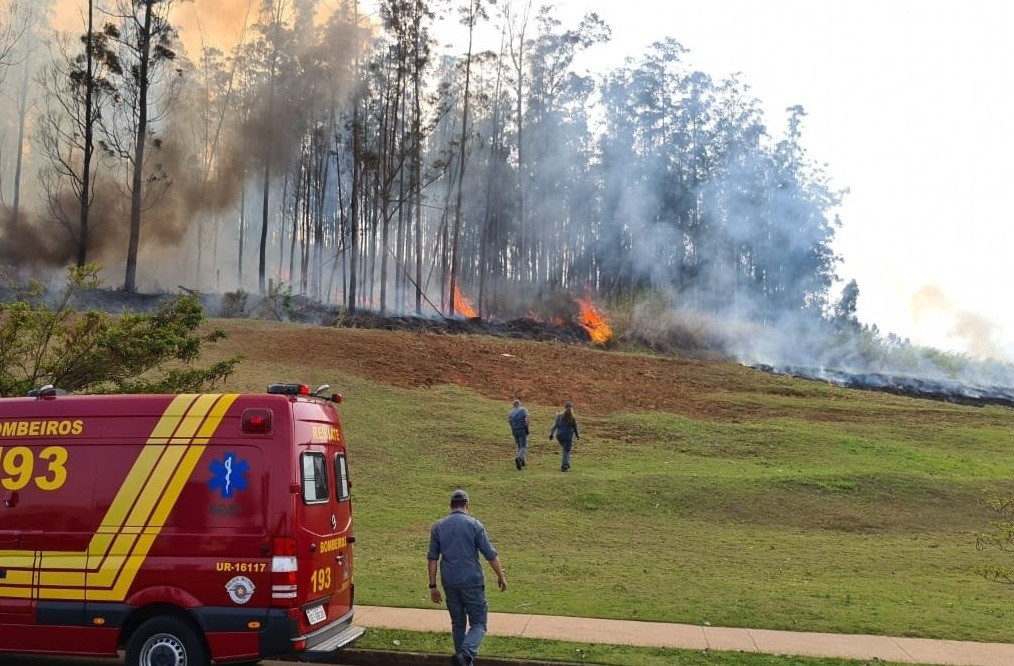 Avião caiu em área de mata logo após decolar do aeroporto de Piracicaba (SP) (Foto: Corpo de Bombeiros/Divulgação)