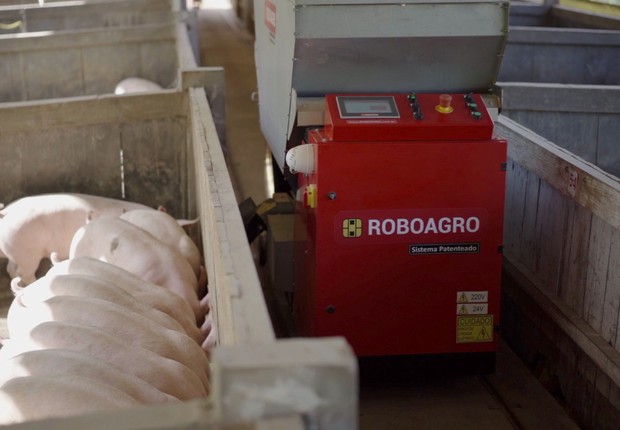 Robô da Roboagro alimenta porcos enquanto toca música clássica (Foto: Roboagro/Divulgação via REUTERS)