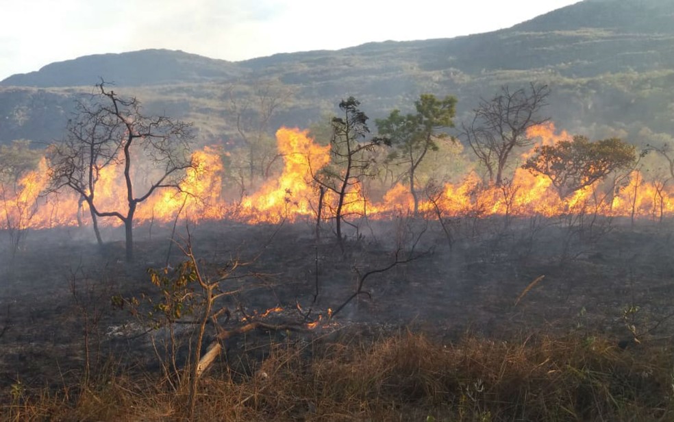 Ãreas de queimadas estÃ£o sendo monitoras pelo Corpo de Bombeiros â Foto: DivulgaÃ§Ã£o/Corpo de Bombeiros