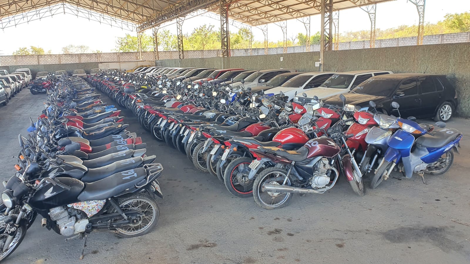 Polícia Civil realiza leilão com mais de 300 veículos em Montes Claros 