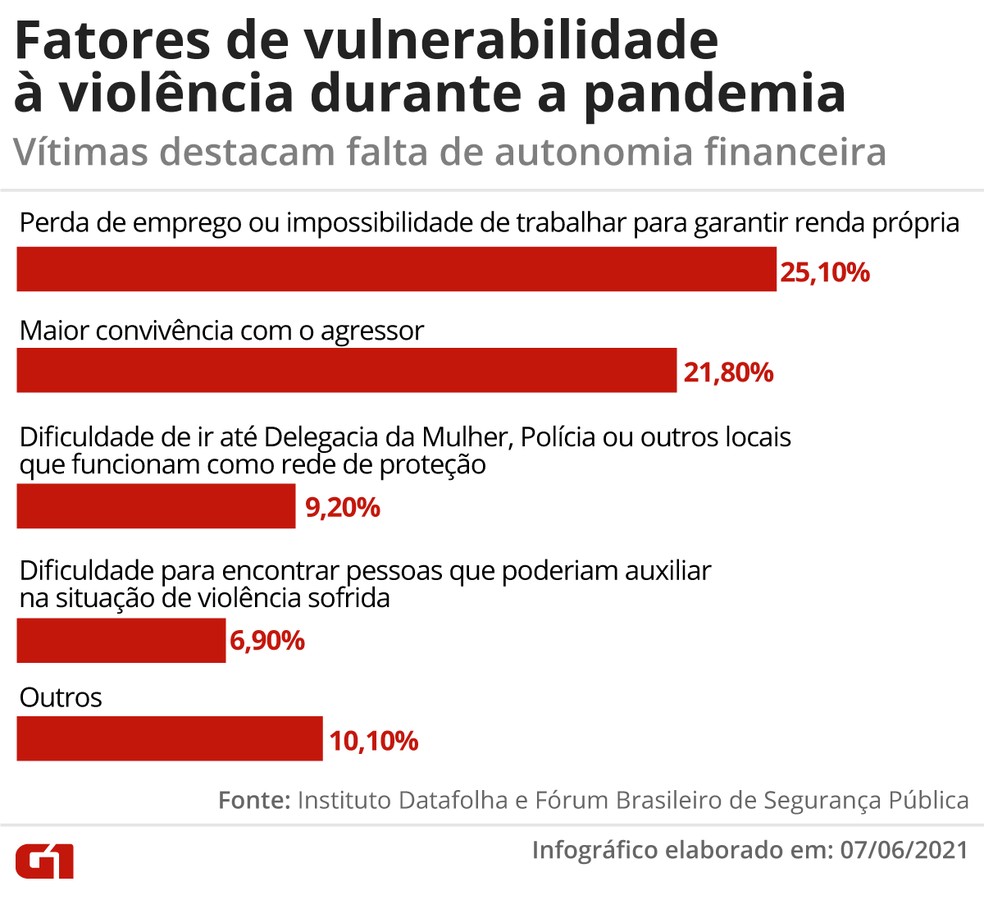 Pesquisa sobre violência doméstica  — Foto: Arte/G1