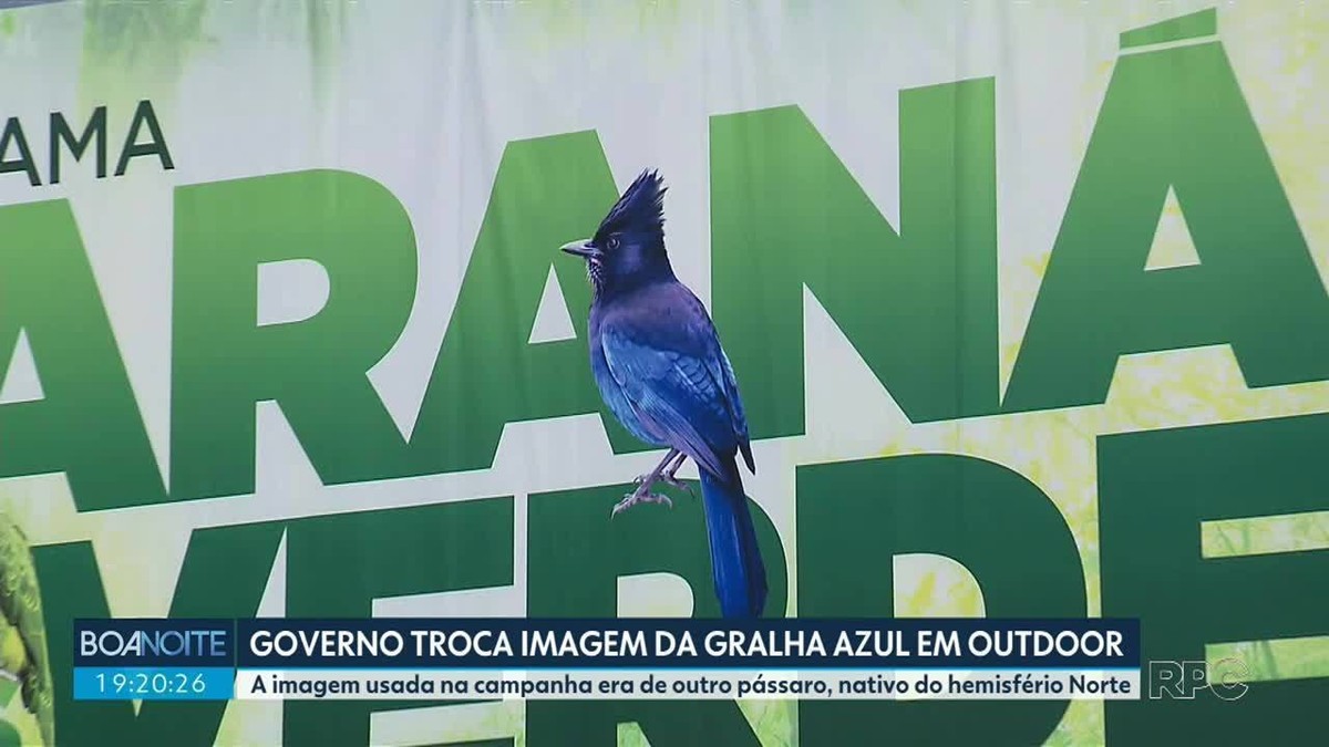 Campanha do governo com 140 outdoors troca imagem da gralha-azul, símbolo do Paraná, por ave da América do Norte