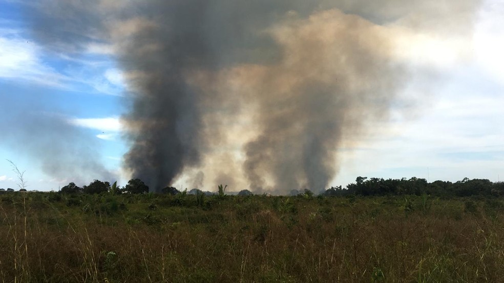 Incêndio atingiu área próxima ao Espaço Alternativo, em Porto Velho, há dois. — Foto: Thaís Gomes/Rede Amazônica