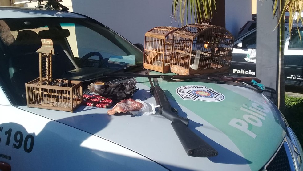 Pol&iacute;cia Ambiental apreende armas, muni&ccedil;&otilde;es e resgata aves em Areias &mdash; Foto: Pol&iacute;cia Ambiental/Divulga&ccedil;&atilde;o