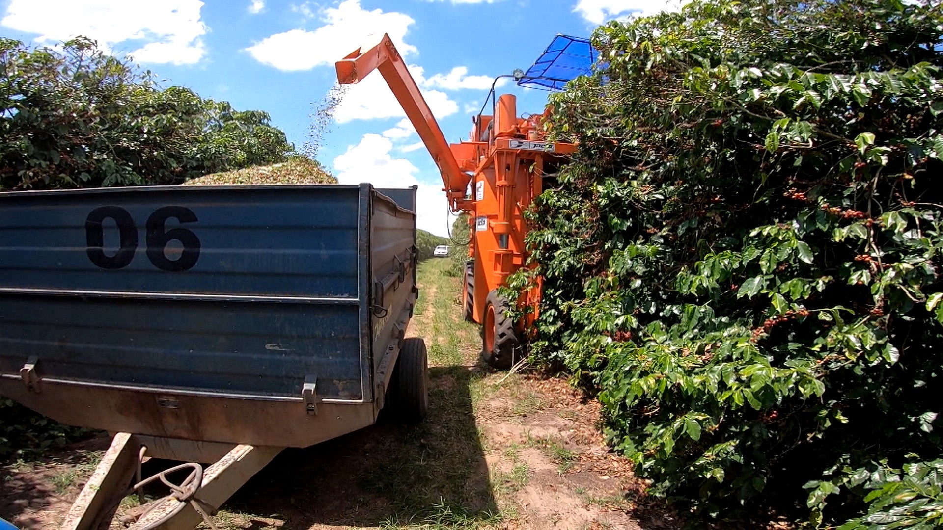 Vídeos do g1 e TV Bahia - domingo, 20 de março de 2022