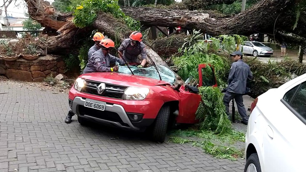 Árvore caiu sobre carro e causou morte de homem em Piracicaba — Foto: Arquivo pessoal