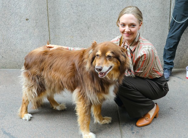 Amanda Seyfried e seu cachorro, Finn (Foto: Getty Images)