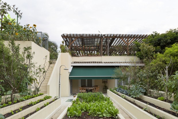 Casa ganha terraço com horta, churrasqueira e área de estar (Foto: Julia Ribeiro )