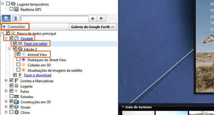 Selecione o item do safári no menu de Camadas do Google Earth (Foto: Reprodução/Barbara Mannara)