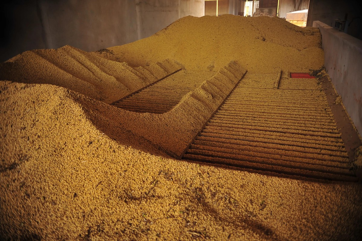Le producteur s’attend à un meilleur prix et assure les ventes de soja |  soya