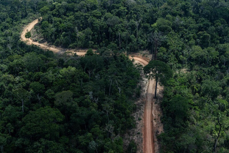 Estrada aberta em meio à floresta amazônica em Trairão, Pará (Foto: Victor Moriyama/Greenpeace)