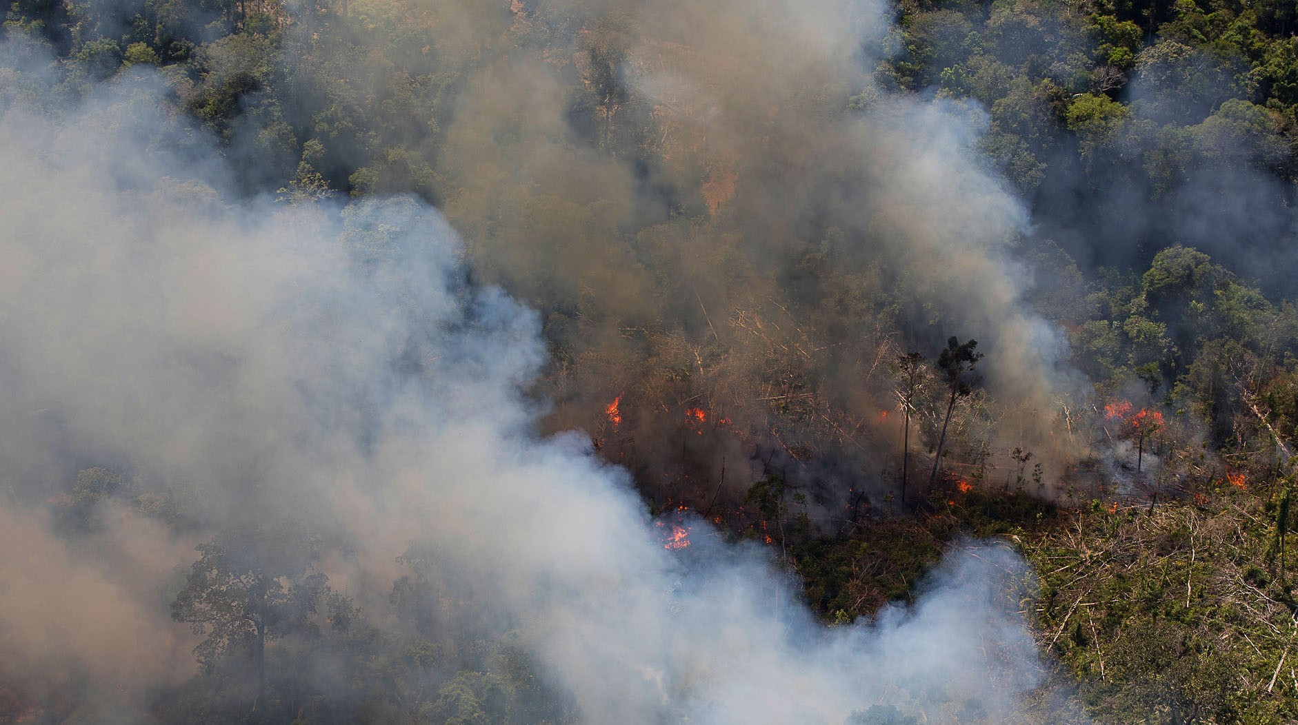 Mais de 47 mil brasileiros são hospitalizados por ano devido a queimadas (Foto: Bruno Kelly/Amazônia Real)