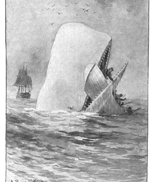 Horror à vista: a história assustadora que inspirou o romance “Moby Dick”