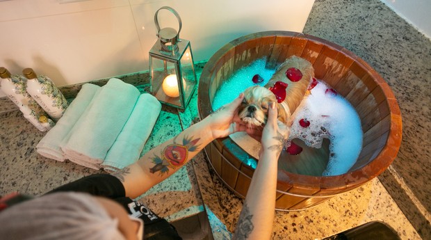 Além dos tradicionais serviços de banho e tosa, a Pose também oferece experiências especiais para os animais, como banho de ofurô e massagem relaxante (Foto: Divulgação)