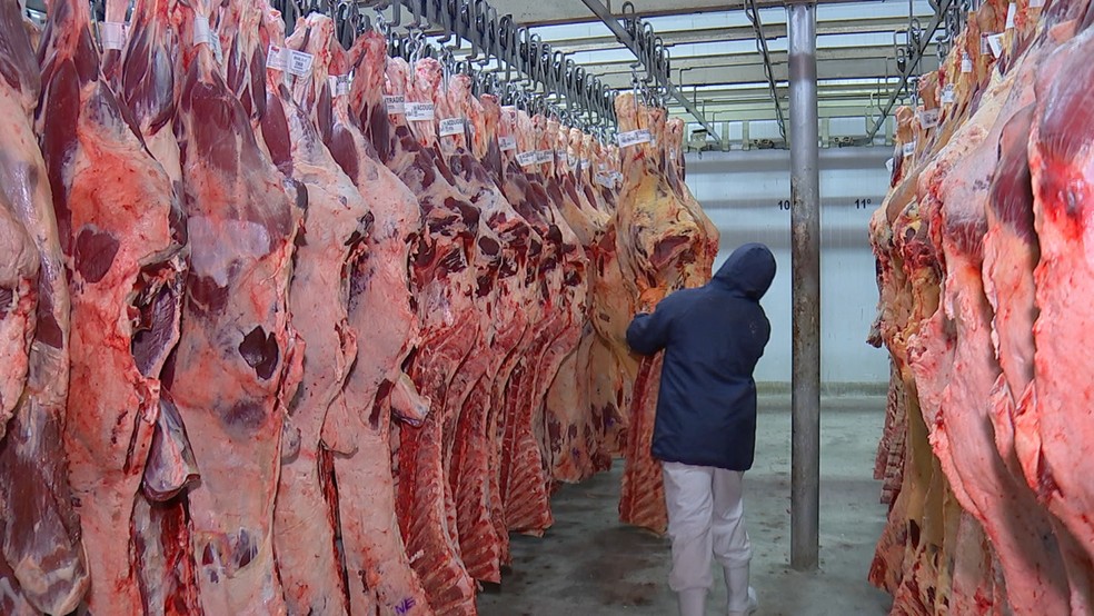 Exportação de carne bovina (Foto: Reprodução/TV TEM)