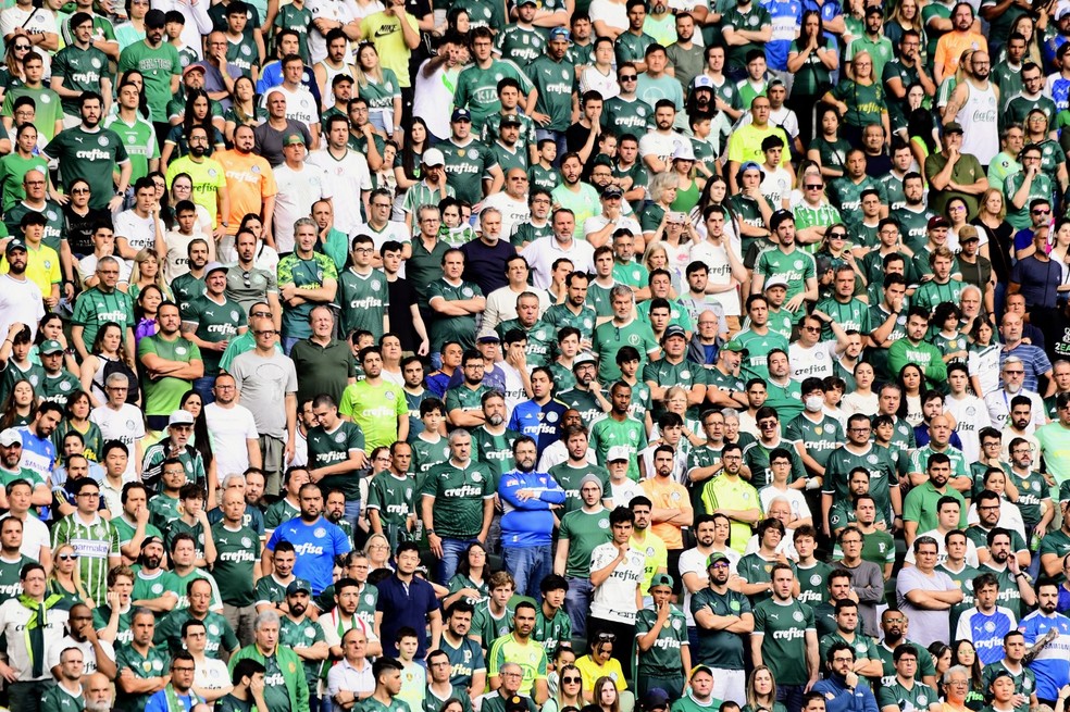 Palmeiras x Avaí: veja preços e como comprar ingressos