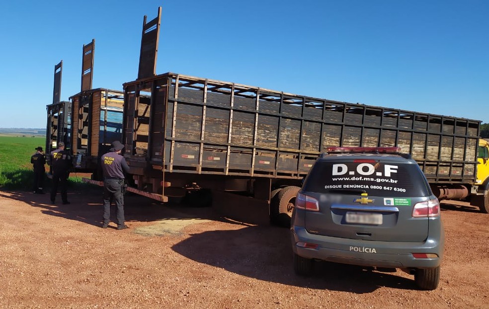 Caminhões que estavam com droga foram apreendidos em Ponta Porã (MS), na fronteira com o Paraguai — Foto: DOF/Divulgação